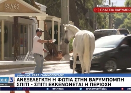 Πυρκαγιά Βαρυμπόμπης: Κάτοικοι προσπαθούν να σώσουν τα άλογα του ιππικού ομίλου [vid]