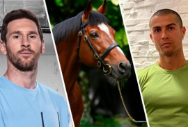 Ένα άλογο έχει μεγαλύτερη αξία από τον Μέσι και τον Ρονάλντο μαζί! (vid)