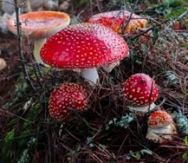 Όλα τα ζώδια 17/02